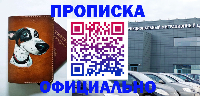 временная прописка в Лесном